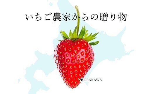 果肉55%「夏いちごアイス(12個)」[22-237]
