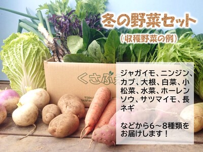【3ヶ月定期便】くさぶえ農園『冬の野菜6～8品目セット』（2026年11月～2027年3月出荷／北海道・沖縄・離島は配送不可）高原 無農薬 産地直送 新鮮 旬彩 簡単レシピ 先行予約【 産直 高原野菜
