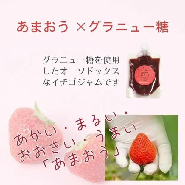 いちごジャム 無添加 あまおうとグラニュー糖のジャム 200g×3袋 手作り 国産 チューブ パウチ入り | 食品 加工食品 人気 おすすめ 送料無料