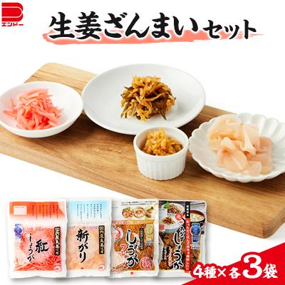 ふるさと納税 佐野市 生姜ざんまいセット