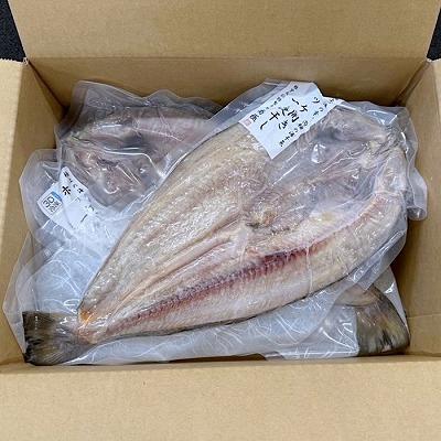 ふるさと納税 根室市 【北海道根室産】真ほっけ一夜干し1枚×3P G-50005 |  | 03