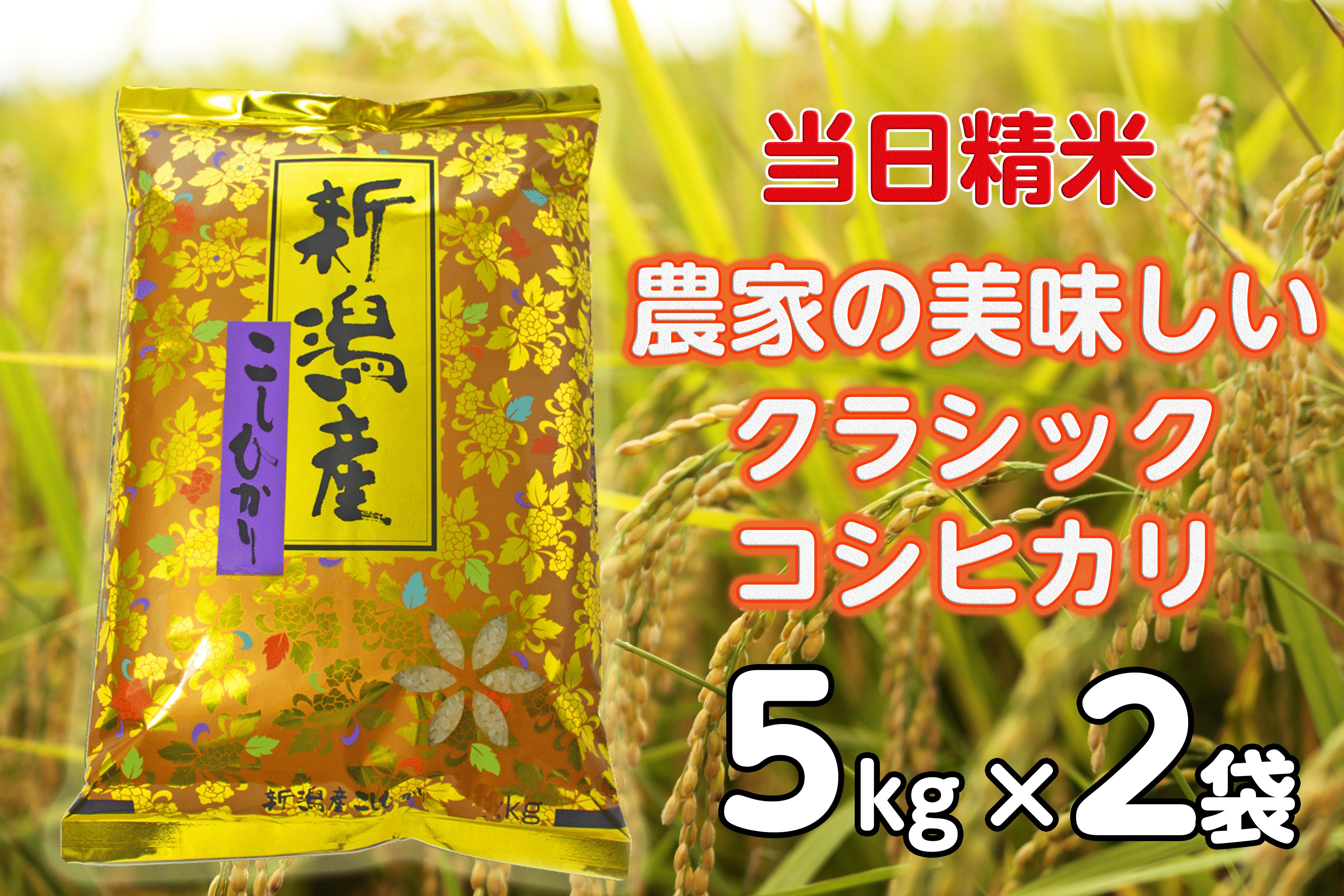 
【令和6年産新米】 当日精米! 農家直送 美味しい クラシックコシヒカリ 5kg×2袋 計10kg 精米 白米 水原町農産センター 1F23023
