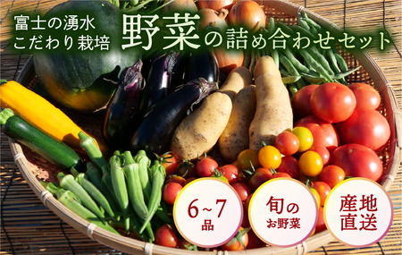 やさい 特別栽培 6 ～ 7品 セット 野菜 沼津市 やさい