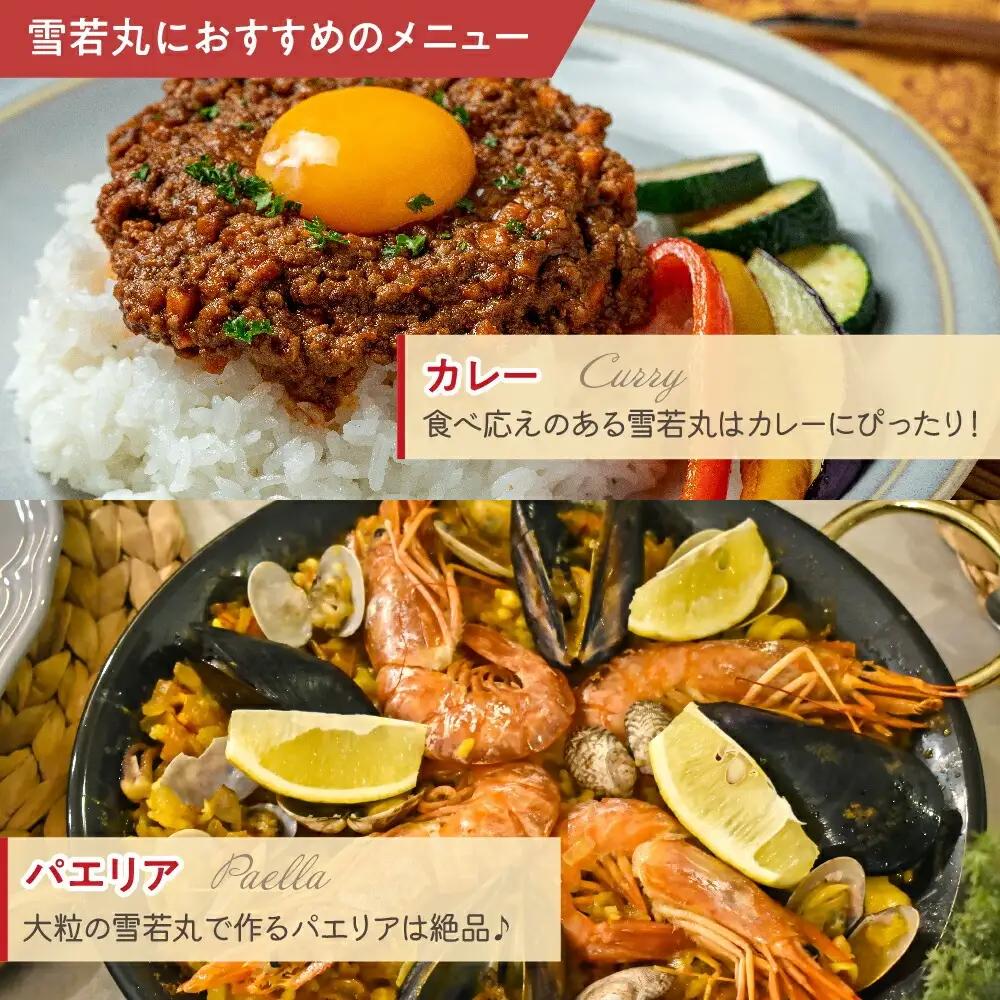 令和7年産 雪若丸 10kg 精米 山形