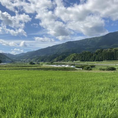 ふるさと納税 嘉麻市 極源流米　5kg |  | 02