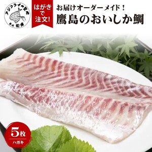 お届けオーダーメイド！鷹島のおいしか鯛1.2kg×5( タイ 鯛 真鯛 マダイ お中元 お歳暮 贈答用 アラ 刺身 煮付 )【I0-013】