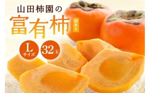 【2026年先行予約】富有柿 L16玉 2段箱（32玉） 柿 カキ かき フルーツ 果物 くだもの 産地直送 茨城県 石岡市 A45-002