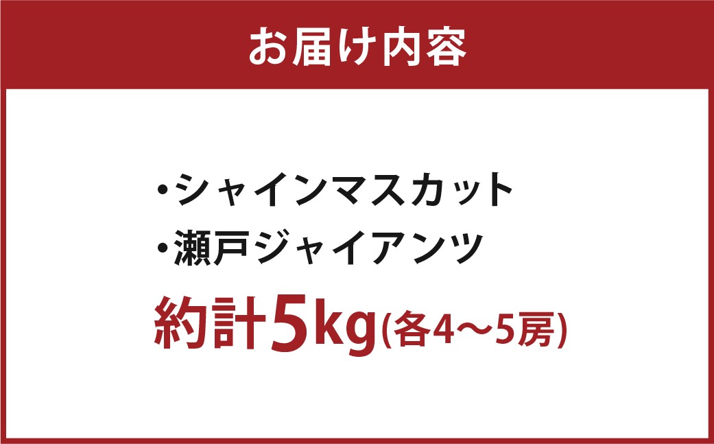 岡山県産ぶどう2種（シャインマスカット+瀬戸ジャイアンツ）家庭用 約5kg