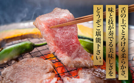 【全3回定期便】【化粧箱入】A5?A4ランク 博多和牛 厳選セット（計1150g）焼肉たれ・塩胡椒付《築上町》【株式会社マル五】[ABCJ117] おすすめ焼肉 定番焼肉 焼肉 和牛焼肉 博多和牛焼肉