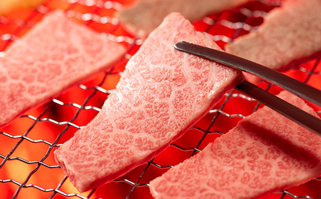 山形牛 モモ・カルビ 焼肉用 1kg (500g×2P) FZ26-834