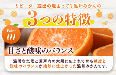 【先行予約】温州みかん4kg [KB00900] 2026年10月下旬～11月下旬に順次発送予定 期間限定 ふるさと納税ミカン 温州ミカン 甘いみかん 愛媛みかん 果物 フルーツ ふるさと納税フルーツ