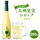 【ふるさと納税】九州を飲む！九州果実シロップ カボス 500ml 1本 果実 シロップ 果汁 柑橘 はちみつ ハチミツ 焼酎 年内発送 送料無料