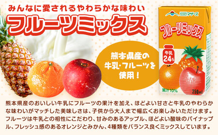 常温保存可能 【1ヶ月毎3回定期便】フルーツミックス 250ml×24本 計72本 合同会社たべたせいか《お申し込みの翌月から出荷》熊本県 菊池市 ミックスジュース らくのうマザーズ フルーツ牛乳 フ