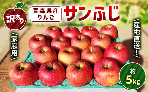 
                  ＜訳あり＞青森県産りんご「サンふじ家庭用」約5kg　産地直送!_りんご リンゴ 林檎 サンふじ 訳あり 家庭用 青森県産 果物 フルーツ 美味しい 人気 産地直送 送料無料【1321109】
                