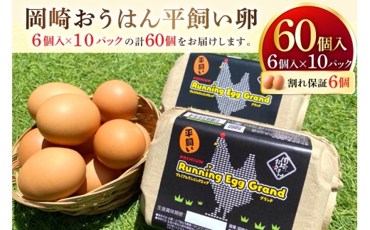 卵 愛知県岡崎産 岡崎おうはん平飼い卵 60個入 卵54個＋割れ保証6個 [ 太田商店 愛知県 岡崎市 ok23bzx020003] たまご 玉子 タマゴ 岡崎おうはん 岡崎 60個