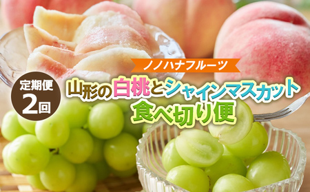 【定期便2回】桃とシャインマスカット 山形直送 食べきり便【令和8年産先行予約】FS25-073