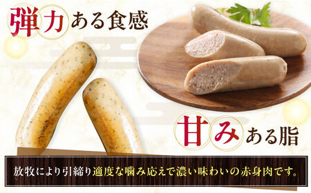 【全3回定期便】【訳あり】【結着剤・発色剤・保存料不使用】 放牧豚 サルシッチャ 2本x10セット（90g/パック） 《厚真町》【ファーマーズファクトリー株式会社】 訳あり ソーセージ ウインナー 冷