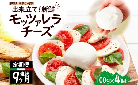 モッツァレラチーズ 出来立て 神奈川県産 モッツァレラチーズ【100g×4個】【定期便9ヶ月】
