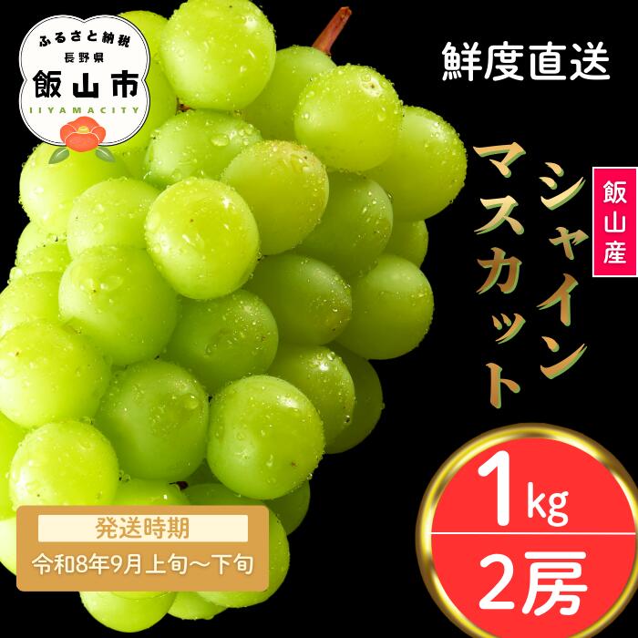 【ふるさと納税】2026年 先行予約 ＼ シャインマスカット ／ 2房 / 1kg 長野県産＜出荷開始：2026年9月上旬頃〜下旬頃＞【 シャイン マスカット ぶどう 葡萄 種なし 皮まで フルーツ 果物 くだもの 産地直送 オススメ 長野県 飯山市 社員マスカット】 (7-A21)