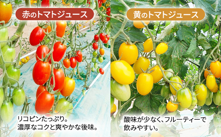 ミニトマトジュース 赤180ml×6本 トマトジュース