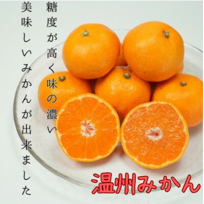 【ふるさと納税】八幡浜産 温州みかん 5kg【D96-2】【1670376】