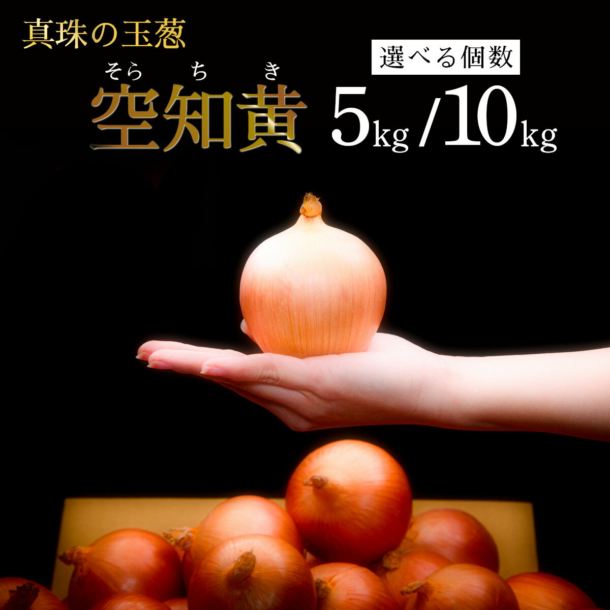 【ふるさと納税】＜内容量が選べる＞真珠の玉葱　空知黄　5kg/10kg ≪海のミネラルで育てた幻の玉葱空知黄≫【50105】