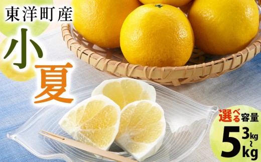 
                  ＜選べる容量＞小夏　3kg/5kg
                