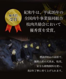 紀和牛 サーロインステーキ 2枚セット【冷凍】 / 牛肉 ステーキ 牛肉 ステーキ 牛肉 ステーキ 牛肉 ステーキ 牛肉 ステーキ 牛肉 ステーキ 牛肉 ステーキ 牛肉 ステーキ 牛肉 ステーキ 牛肉