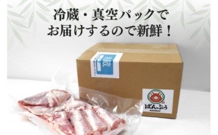 ブランド豚「ばんぶぅ」豚バラブロック1本 ばんぶぅ 豚肉 豚バラ肉 ブロック肉 しゃぶしゃぶ 焼き肉 豚バラ 真空パック しゃぶしゃぶ肉 焼肉用 ブタ肉 国産 茨城県産 ギフト プレゼント 冷蔵 高級