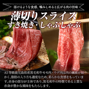 a907 ≪A5等級≫鹿児島県産黒毛和牛薄切りスライス(すき焼き・しゃぶしゃぶ・500g)【水迫畜産】姶良市 国産 肉 牛肉 牛 黒毛和牛 モモ ウデ 薄切り スライス すき焼き しゃぶしゃぶ