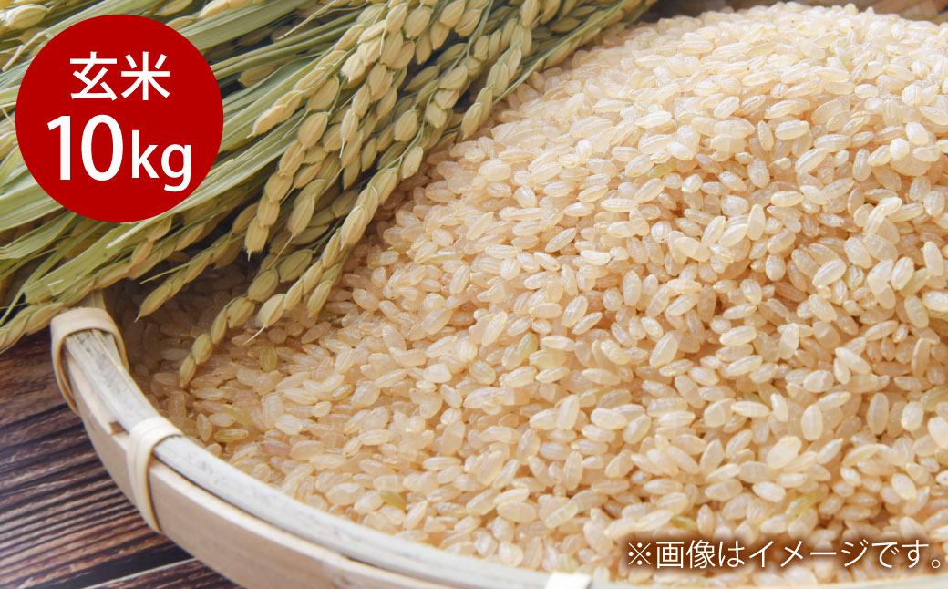 
                  令和7年産 岡山県倉敷市産 きぬむすめ 玄米 10kg【2025年10月上旬より発送開始】
                