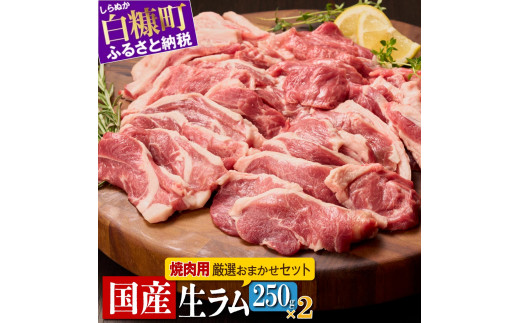 
焼肉用ラム肉スライス【250g×2パック、オリジナルスパイス10g】
