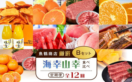
            【魚鶴商店厳選！】人気の海幸山幸食べ比べ【定期便全12回】セットB【UT110】
          