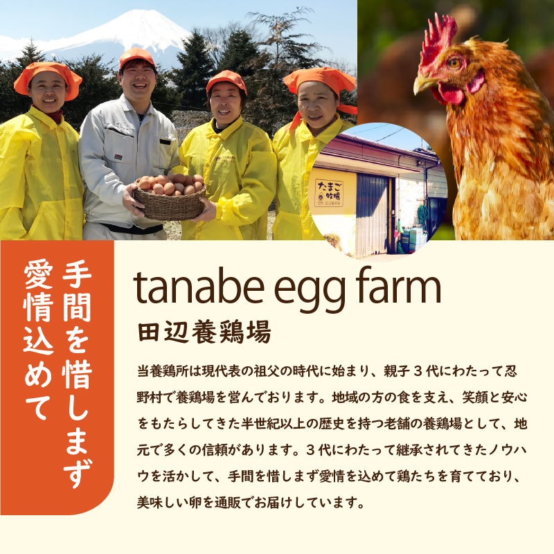 【6ヶ月定期便】”忍野の卵”旨味のピンク玉　※卵45個+割れ保証5個　計300個