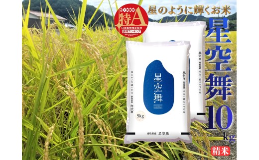 41M.鳥取県産星空舞◇精米10kg◇令和7年産