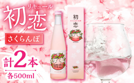 
さくらんぼ リキュール 初恋 500ml 2本セット 【千代の園酒造 株式会社 】サクランボ お酒 晩酌 熊本 酒セット [ZAI045]
