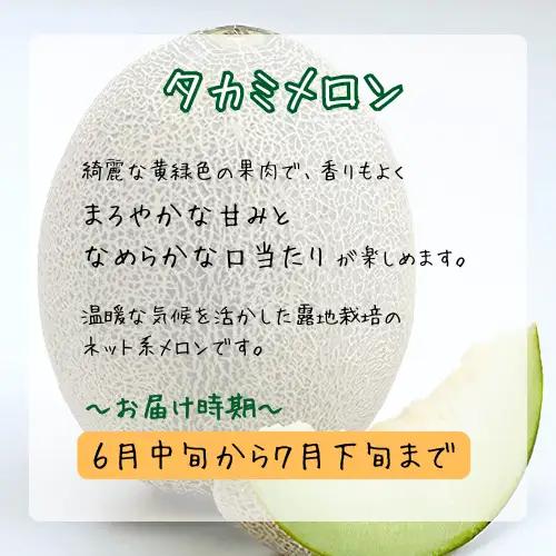 青果市場の野菜ソムリエ厳選 ジューシー メロン 3兄弟 定期便 全3回