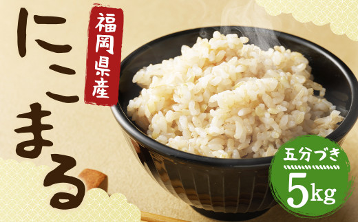 【栽培期間中肥料・農薬不使用】にこまる 五分づき 5kg 福岡県産  白米 お米 精米 【2025年11月上旬より順次発送予定】