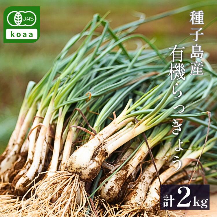 【ふるさと納税】 ＼先行予約／ 誠農園 たねがしま らっきょう （ 有機 JAS 根つき 生らっきょう ）2kg