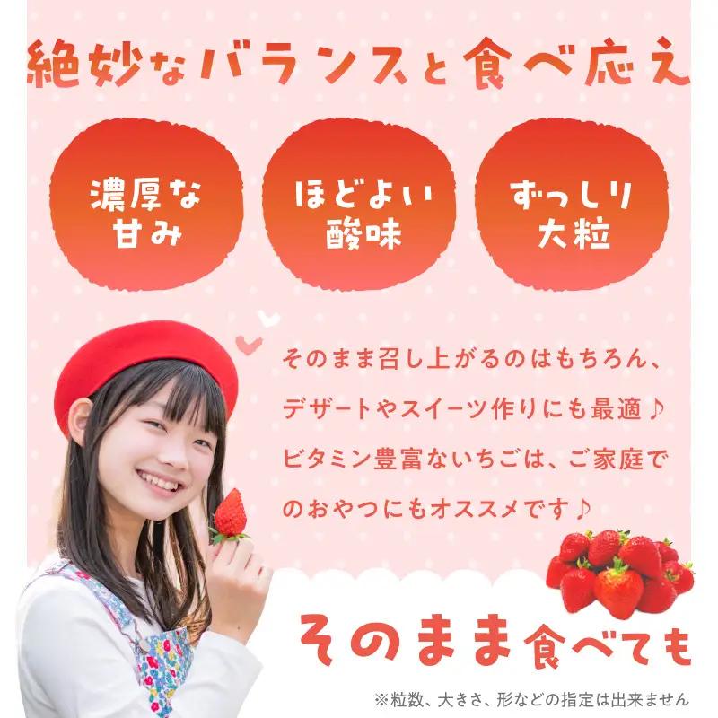 【増永農園】 あまおう 270g×2パック 【2027年1月より順次発送】 ジューシー フレッシュ 苺 果物 くだもの スイーツ作り 数量限定 イチゴ 期間限定 美味しい いちご 福岡県 八女市 19