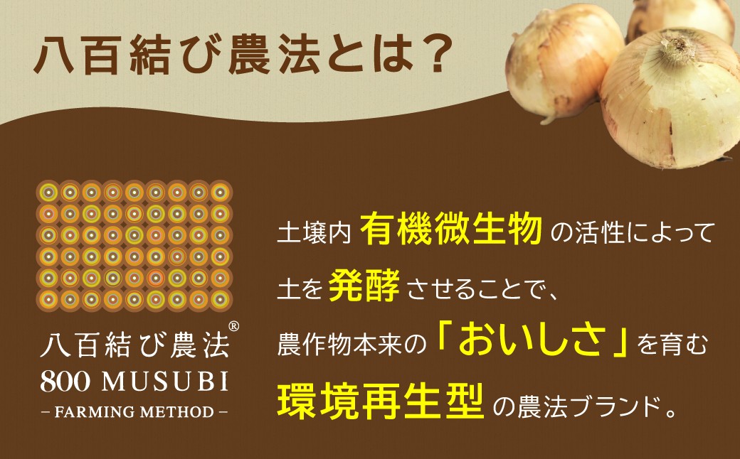 【食品ロス削減】甘さと栄養で体も笑う武ちゃん農場の“ハッピーキャロット” 5㎏　H095-022