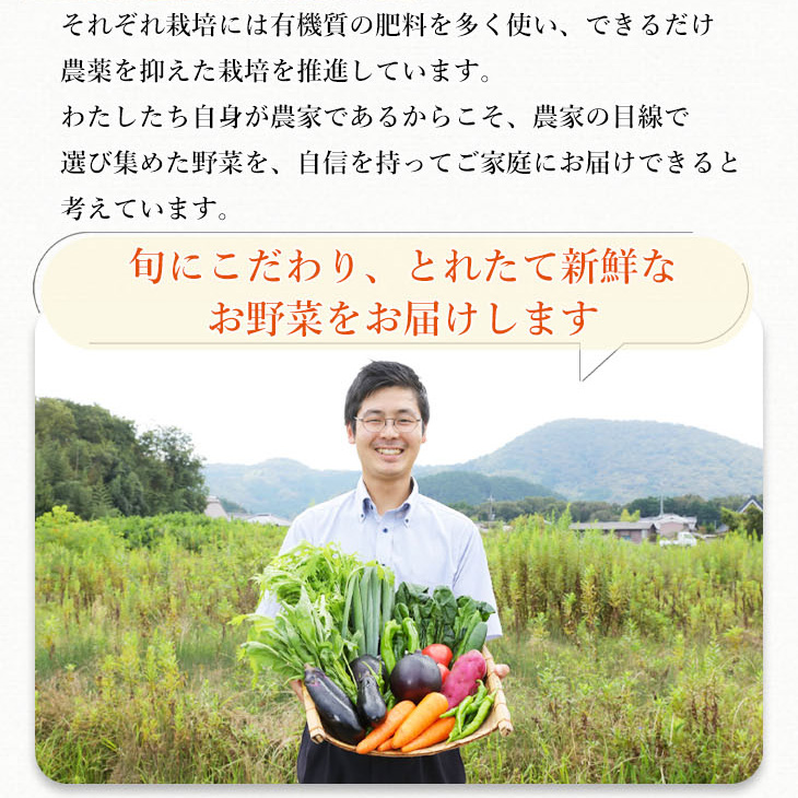 旬の京野菜　レギュラーコース≪京都 丹波 野菜 ふるさと納税野菜≫ ※沖縄・離島・諸島へのお届け不可