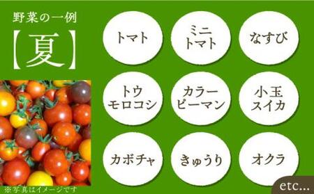 【全3回定期便】農家が選ぶ！ 旬の新鮮野菜セット[VBE008]産直 野菜 やさい 詰め合わせ