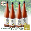 【ふるさと納税】木頭ゆず一番しぼり果汁720ml×4本 ゆず 柚子 ユズ 木頭ゆず 木頭柚子 木頭ユズ 調味料 果汁 ゆず果汁 酢 酢の物 酸味 ドリンク お酒 OM-72