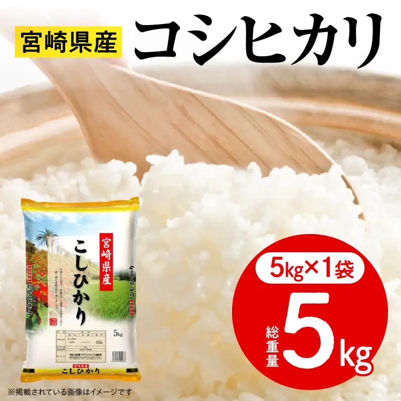 米 コシヒカリ 宮崎県産 5kg 令和7年産 お米 コシヒカリ