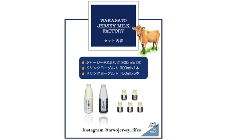 ジャージー A2ミルク［900ml×1］・ ドリンクヨーグルト ［900ml×1・150ml×5］ 飲料 ドリンク ミルク ジャージー牛 やさしい 国産 オホーツク北海道 牛乳 乳飲料 セット 