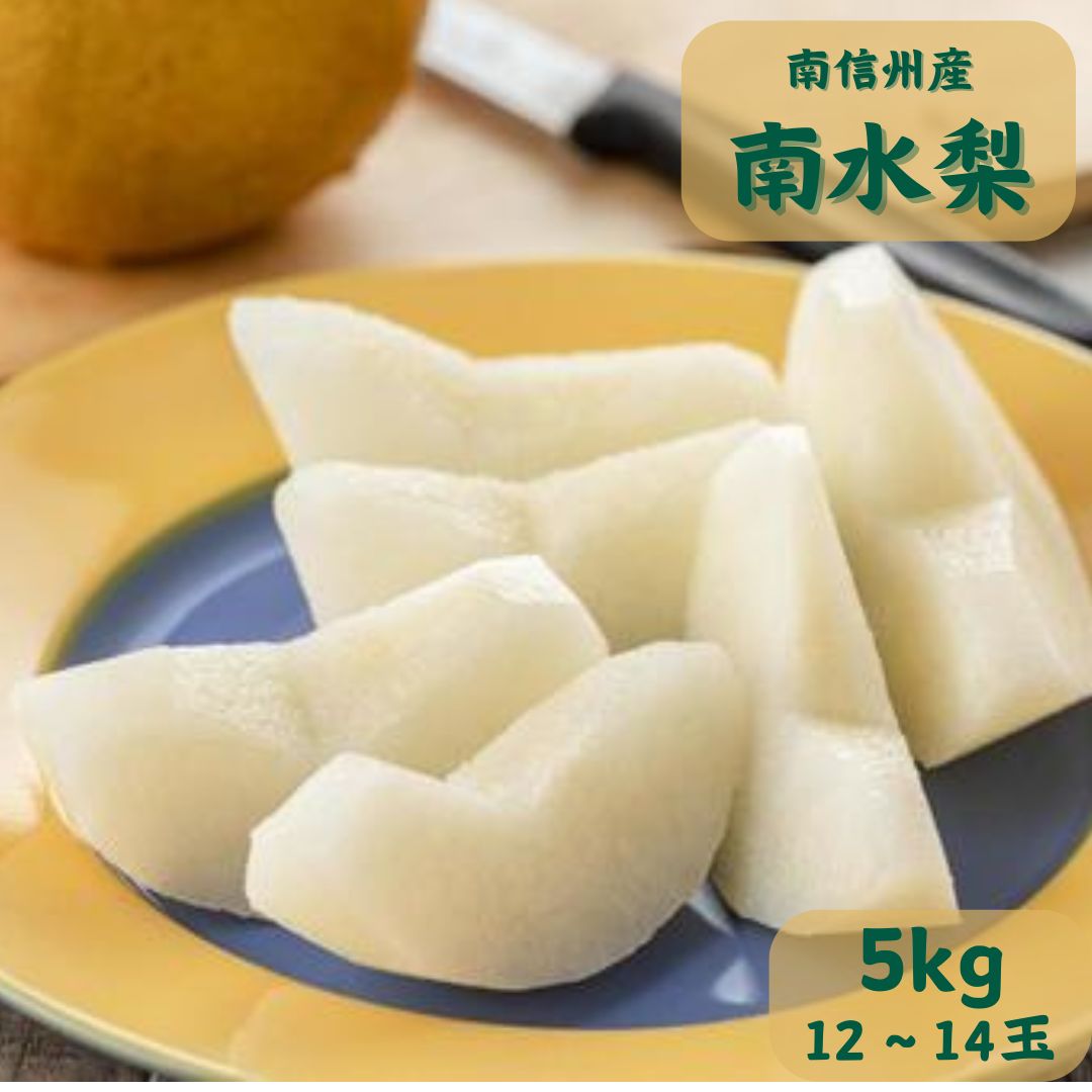 【ふるさと納税】【南信州産】南水梨5kg　12〜14玉入り【配送不可地域：離島】
