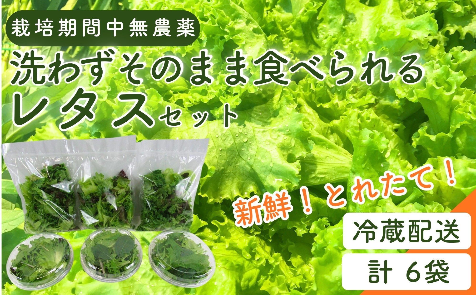 
                  【洗わずそのまま食べられる】【栽培期間中農薬不使用】【メディア紹介多数】 野菜 詰め合わせ レタス ベビーリーフ 合計6袋(（80ｇ）×3、（カップ入り60ｇ）×3 ） おまかせセット 小分け フリルレタス ルッコラ レッドオーク 赤茎水菜 わさび菜 サンゴかいわれ  サラダ野菜 簡易包装 水耕栽培 LED 栽培  ベジタブル 副菜 常備菜 サラダ ヘルシー お得な小容量セットA 東松島ファーム
                
