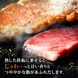 【黒毛和牛】 A5等級 サーロイン ステーキ 200g×3枚 サーロイン
