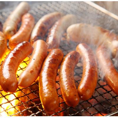 ふるさと納税 内子町 愛媛県内子町の道の駅からりの人気燻製商品詰め合わせ!内子豚ソーセージ5種セット |  | 02